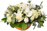 White and Green Elegant Pumpkin - Flowers Box London