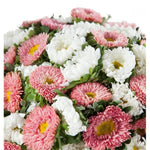 White and Pink Aster Bouquet