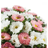 White and Pink Aster Bouquet