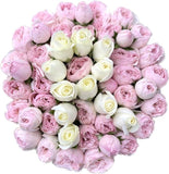 White and pink spray roses initial
