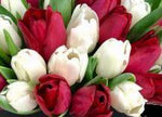 White and Red Tulips Hat Box