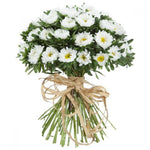 White Aster Bouquet