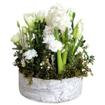 White Flowers in a Pot - Flowers Box London