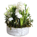 White Flowers in a Pot