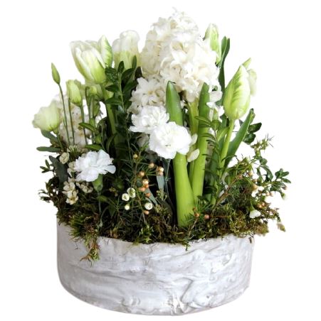 White Flowers in a Pot