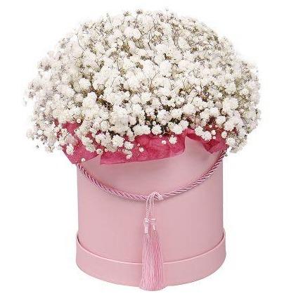 White Gypsophila Box