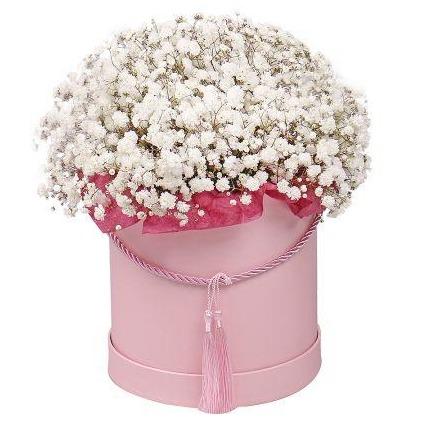 White Gypsophila Box