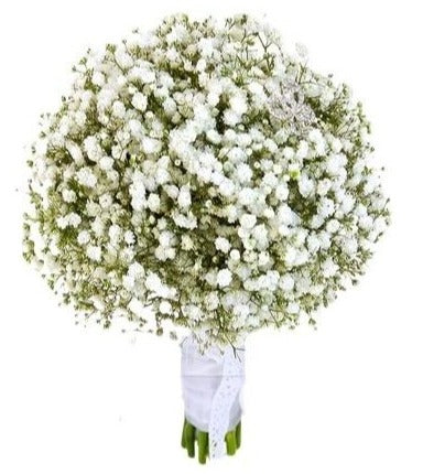 White Gypsophila Bridal Bouquet
