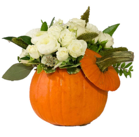 White Halloween Pumpkin Arrangement