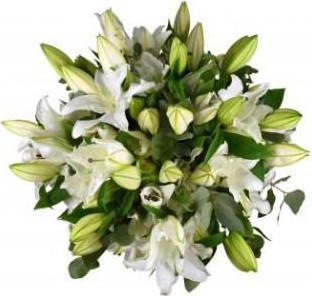 White Lily with Eucalyptus