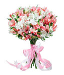 White & Pink Alstroemeria