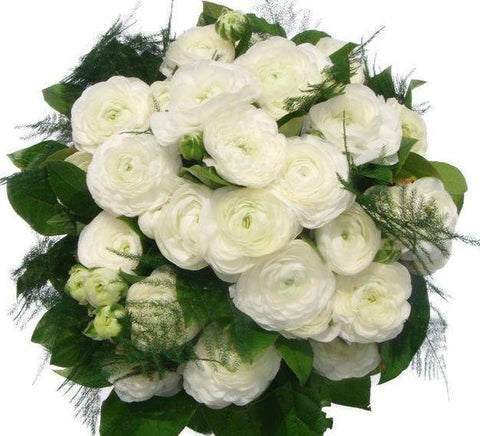 White Ranunculus Bouquet - Flowers Box London