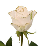 White Rose Gold Glitter Bouquet