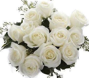 White Roses with English Ivy