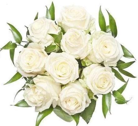 White Roses With Ruscus