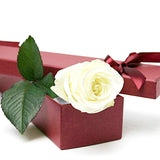 White Single Rose Luxury Box - Flowers Box London