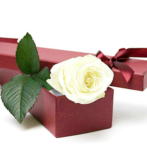 White Single Rose Luxury Box
