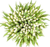 White Tulips Bouquet - Flowers Box London