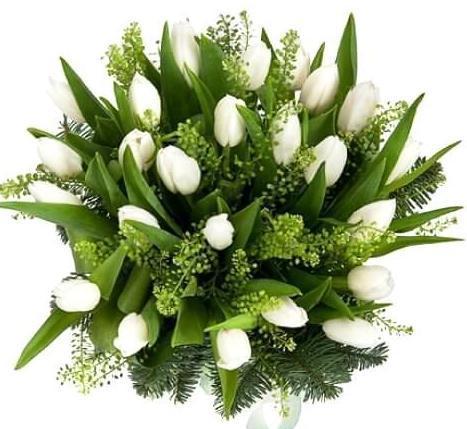 White Tulips with Green Bell