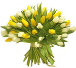 White & Yellow Tulips