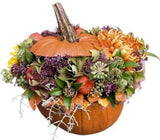 Wild Pumpkin Flowers Arrangement - Flowers Box London
