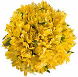 Yellow Alstroemeria Bouquet - Flowers Box London