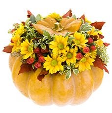 Yellow and Red Pumpkin - Flowers Box London