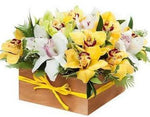 Yellow and White Cymbidium Signature Box