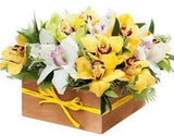 Yellow and White Cymbidium Signature Box