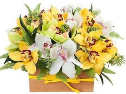 Yellow and White Cymbidium Signature Box