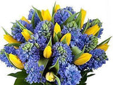 Yellow & Blue Bouquet - Flowers Box London