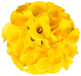 Yellow Calla Lily Bouquet - Flowers Box London