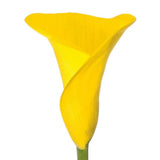 Yellow Calla Lily Bouquet