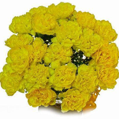 Yellow Carnations Bouquet