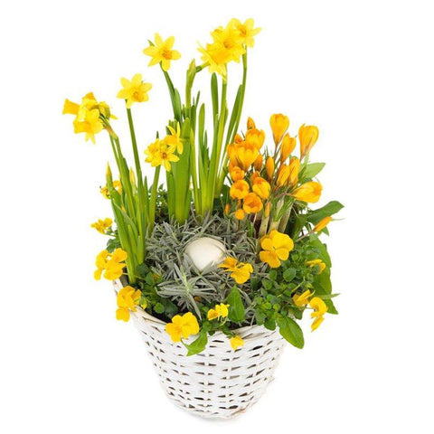 Yellow Easter Arrangement