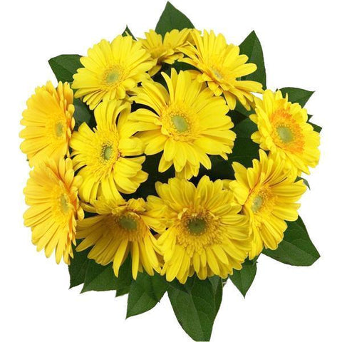 Yellow Gerbera with Salal