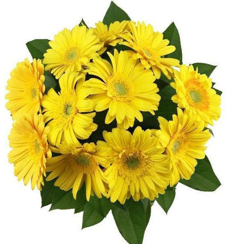 Yellow Gerbera with Salal Bouquet - Flowers Box London