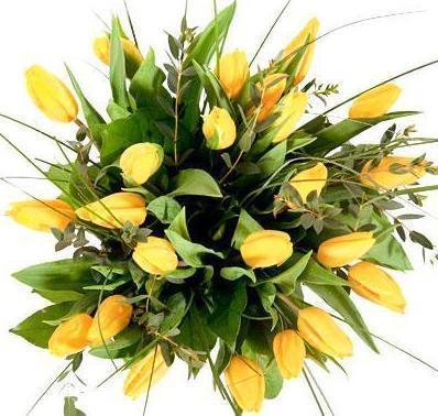 Yellow Tulips with Eucalyptus & Bear Grass